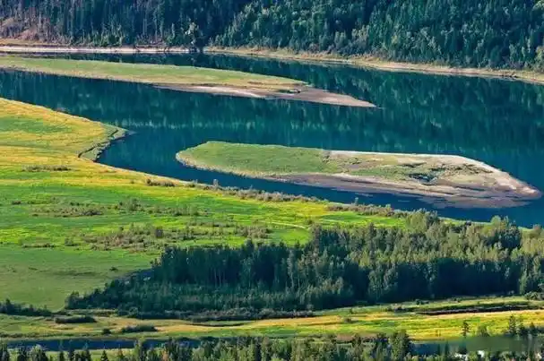 美丽而淡雅的大自然