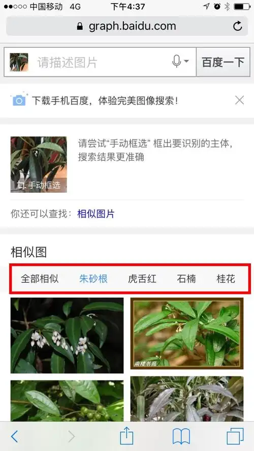 关于使用手机百度功能识别周边各种植物的介绍