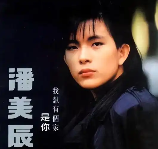 一张满脸胡茬的照片,彻底撕下了潘美辰的遮羞布