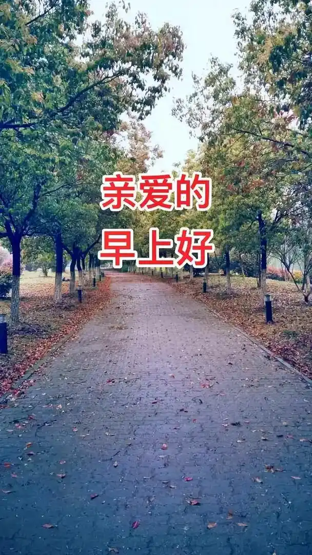 亲们早安吉祥 #姐妹们早上好 #感恩相遇感谢陪伴 #祝大家 - 抖音