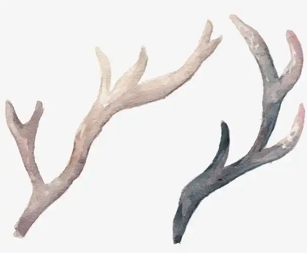 卡通手绘插画麋鹿梅花鹿鹿角免扣png