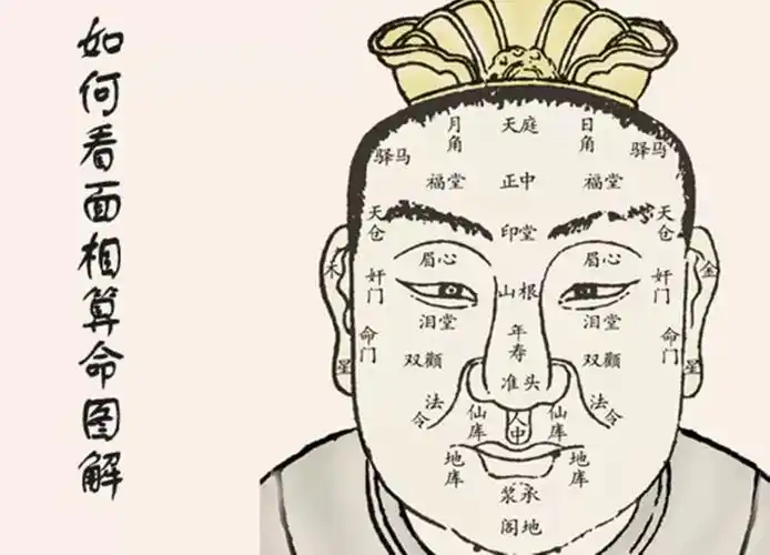 相术 面相图解                            也称之为悬针破印,他是一