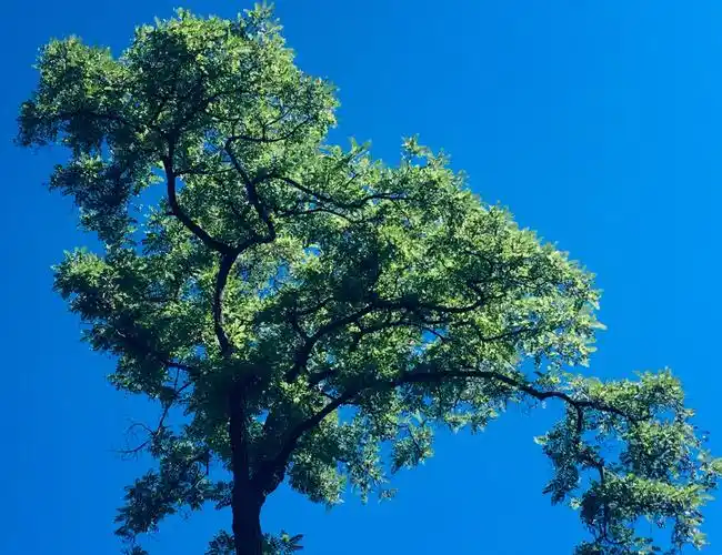 太原的蓝天白云绿树