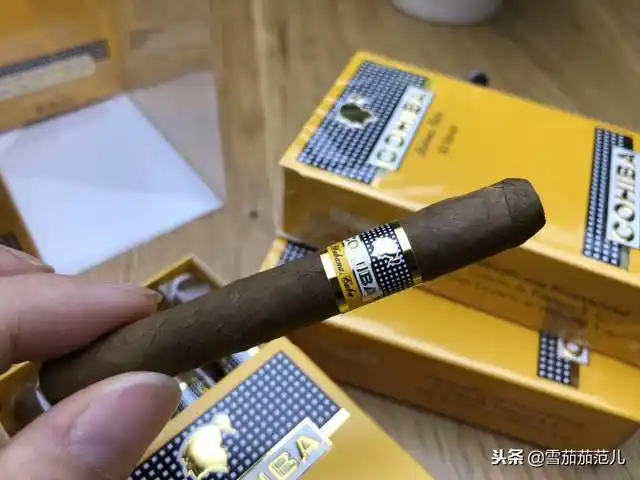 古巴雪茄品鉴赏析之高希霸短号