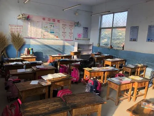 为什么很多希望小学现在都被关掉了