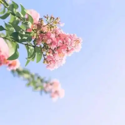 大自然超唯美高清风景头像2022男女通用微信风景头