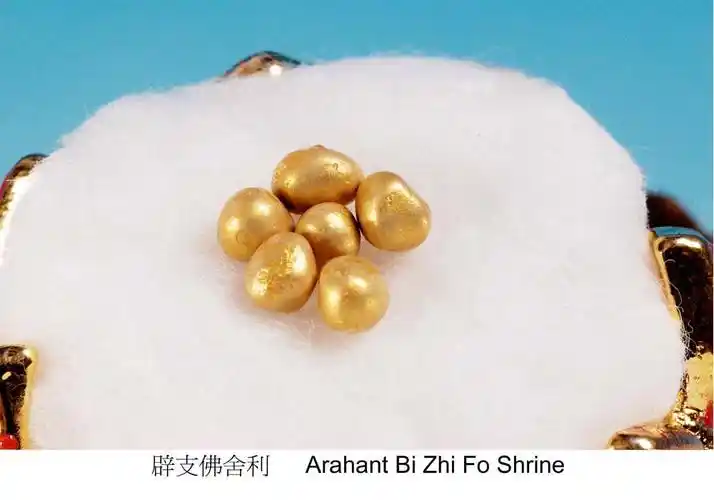 难得一见的神秘圣物释迦牟尼佛血舍利图文