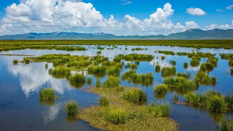 四川若尔盖花湖唯美风景图片桌面壁纸