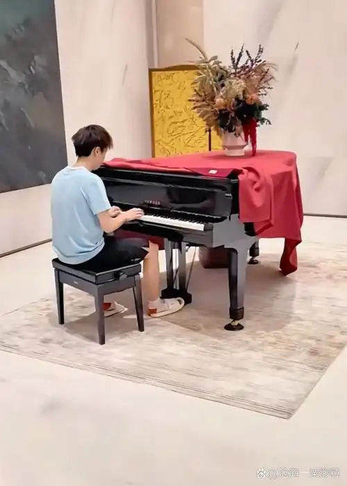 被悠扬的琴声吸引的,何止一人……