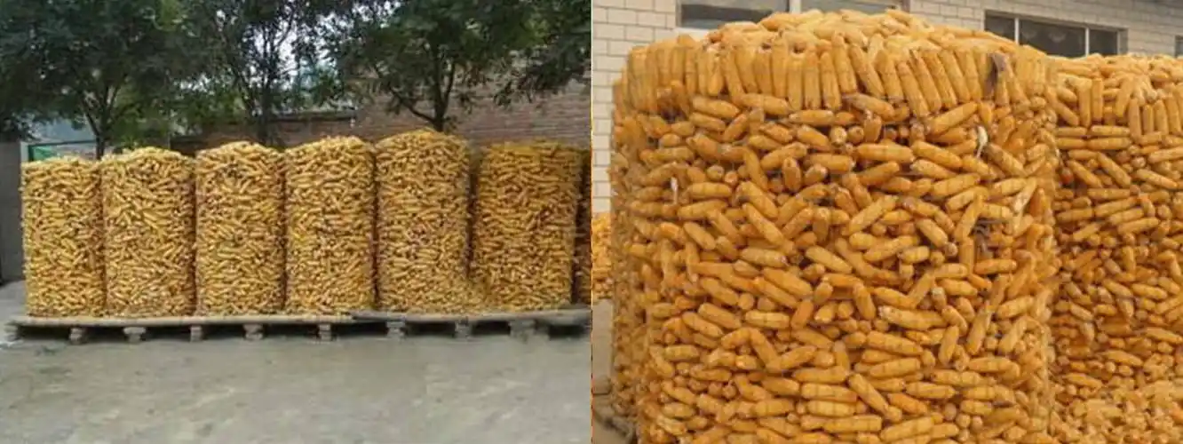 河南新乡玉米网,玉鼠网,河南厂家,玉米笼,新乡玉米笼,河南