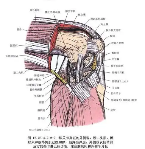 跑步后右膝盖内侧疼多久能康复