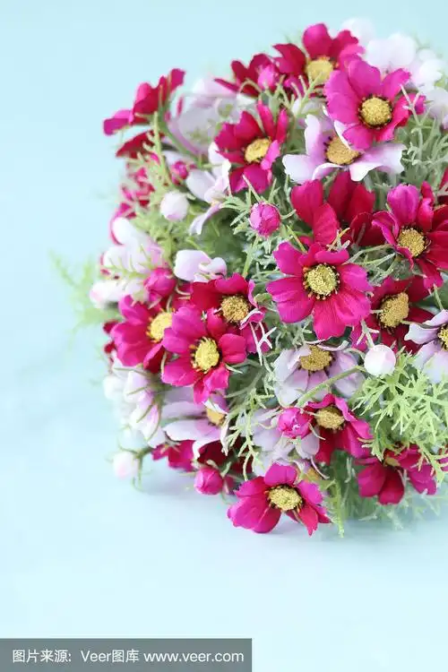 婚礼,花束,大波斯菊,蜜月,周年纪念