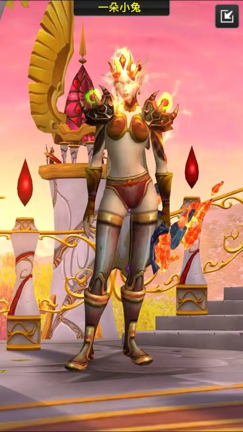 猎人有没有想板甲甲职业幻化光荣套装那样的黄色