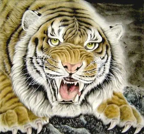 工笔画—老虎(老顽童特别制作2018.12.2图片来自网络)