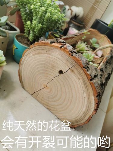 多肉木头花盆原生态木槽石斛专用树根长方形创意大号木质原木花盆