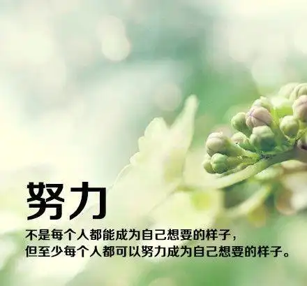 生活变得美好不是偶然,而是努力的必然结果