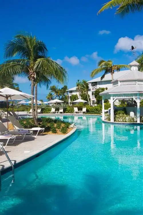 度假村,棕榈树,游泳池,椅子,蓝天,热带 4k