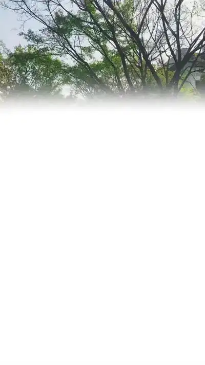 qq 名片背景/空间背景/渐变/全屏壁纸