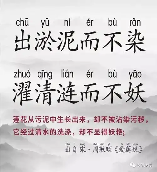 出淤泥而不染,濯清涟而不妖