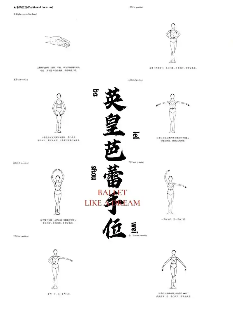 rad英皇学派芭蕾手位详细讲解图～ #英皇芭蕾 #芭蕾 #舞 - 抖音