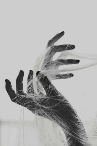 风景 壁纸 自然