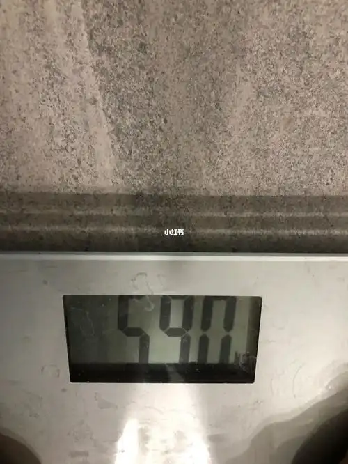 day 2 苹果日 今日体重59kg
