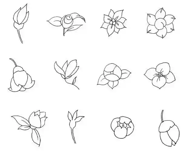 植物花卉简笔画 铅笔画植物花卉简笔画