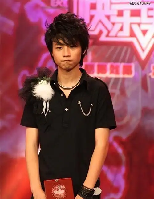 次年,他不甘心,又开始冲击"快男"比赛,但有了之前的失败经历,魏晨这次