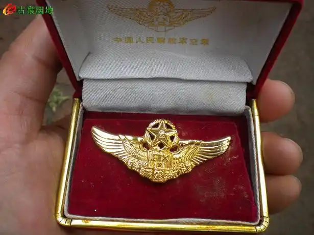 03空军特级飞行员胸章