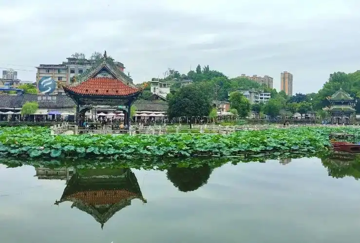 富顺西湖传来好消息!这个备受关注的项目即将