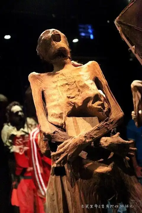 慎入世界上最恐怖的人尸博物馆组图