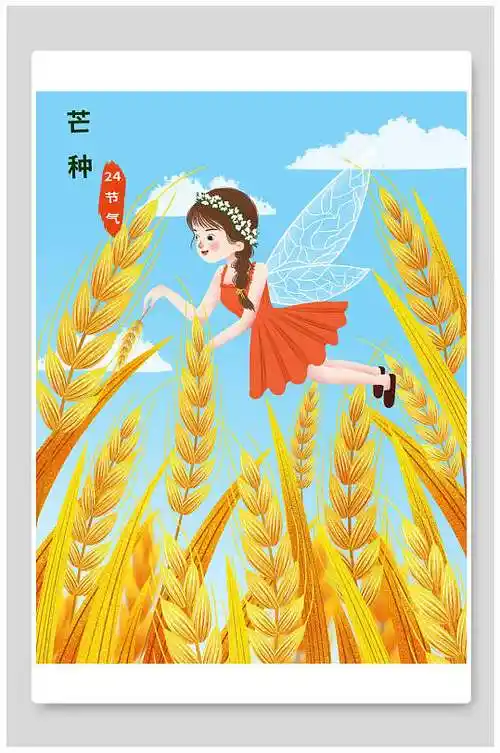 二十四节气芒种小麦手绘插画