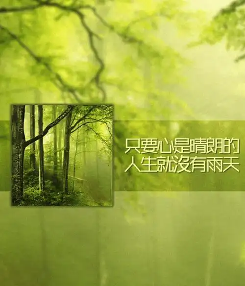 人生感悟经典语录治愈系心灵鸡汤句子