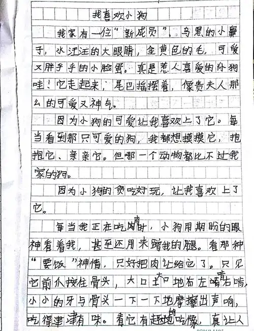 郑州中小学作文博览手机版