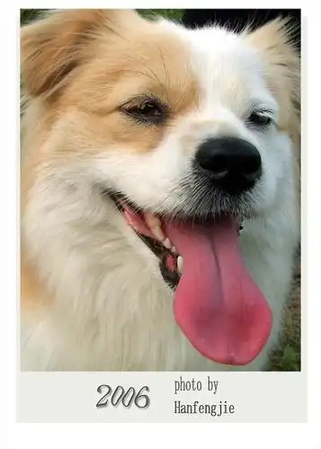 我们家的"丑丑"特写.