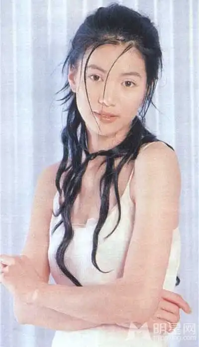 袁咏仪 anita yuen的图片