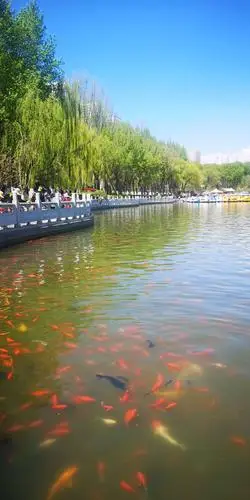 西宁市人民公园