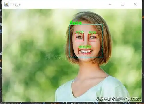 java读取图片画布大小java机器学习库opencv级联分类器实现人脸识别