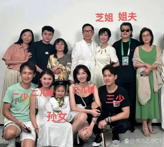 赵雅芝的三个儿子,各个幸福美满