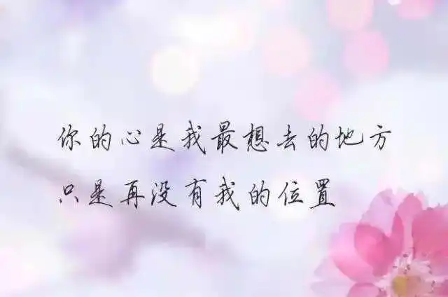 对亲情失望冷淡的句子