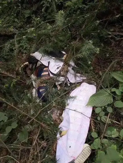 "翼装飞行"失联女大学生死因公布,最后一跳画面曝光,极限运动还是极限