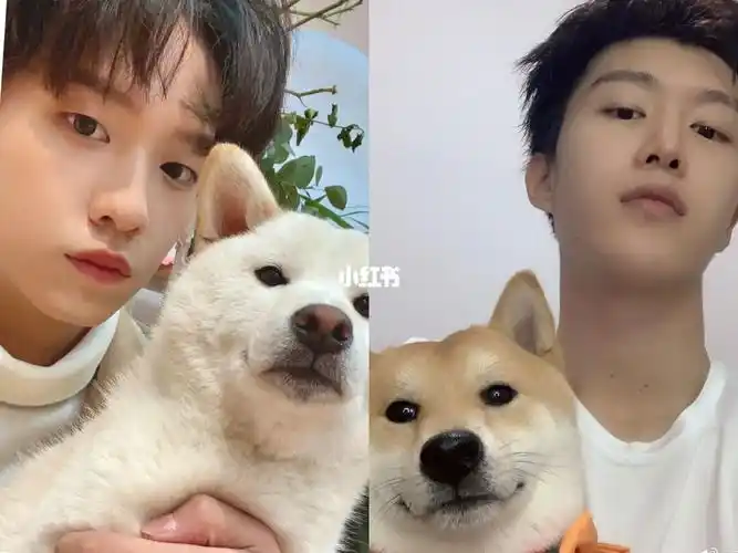 向全世界安利范丞丞  #宝藏男孩余景天  #全世界最好的余景天  是粉