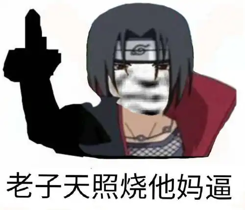 天照表情包素材斗图表情