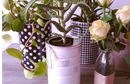 百度爱采购首页 商品专题_收纳花盆家中有宝宝的朋友们,应该对奶粉罐