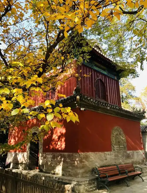 11.13游西山大觉寺