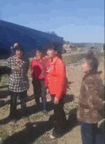 哈哈哈你们要的动图又来了