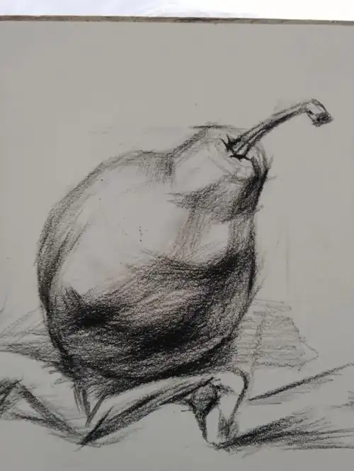 静物素描  #素描  #水果  #素描画  高一学生