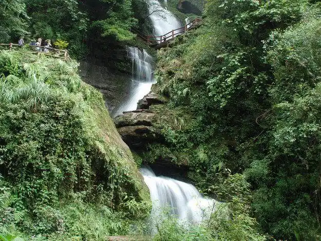 雅安碧峰峡景区整个峡谷呈"v"字形,植被,峡景和瀑布是鲜明特色!