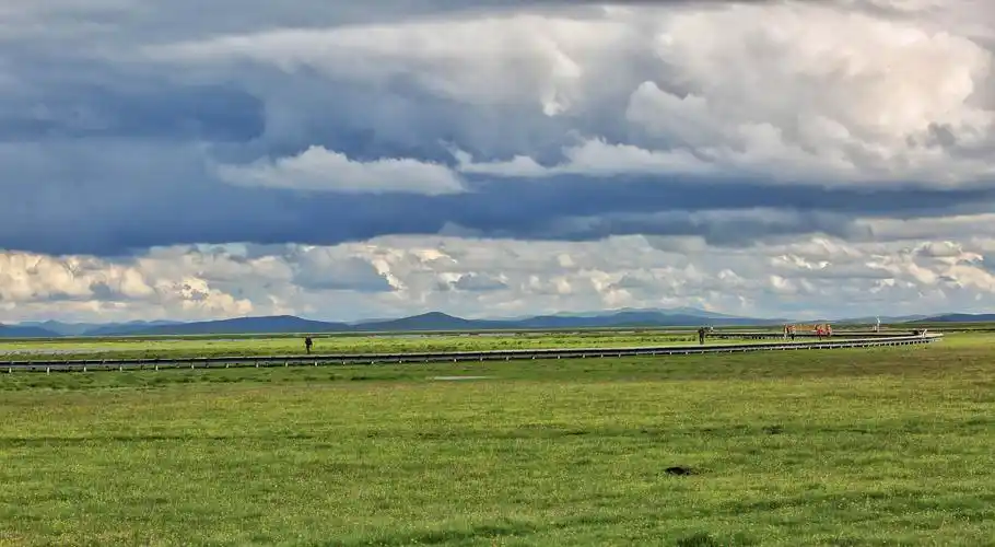战友自驾游/梦幻甘南/走进玛曲黄河第一弯,若尔盖花湖湿地大草原