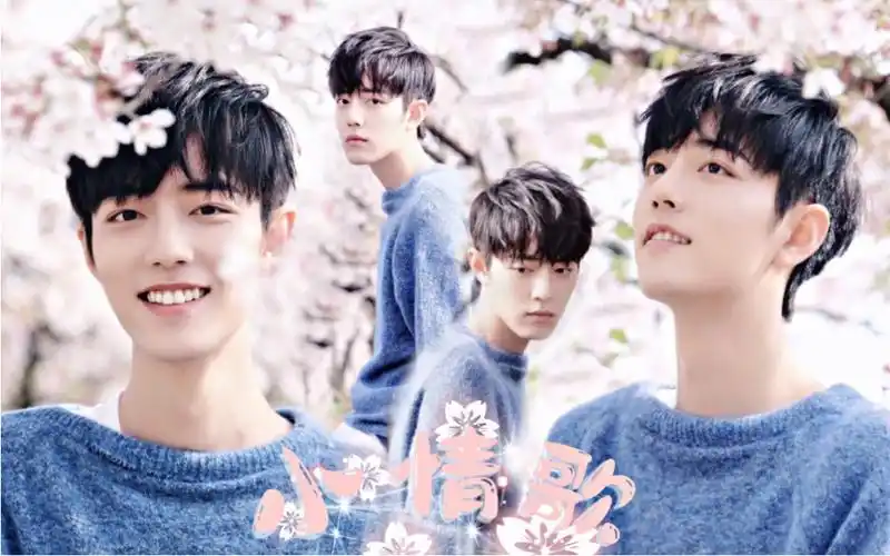 肖战 | 个人向混剪 | 樱花盛开的春天适合见喜欢的人